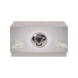 Pokémon TCG: Brilliant Energy Steel-Type Collector’s Album Gift Box – Simplified Chinese