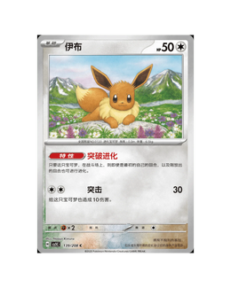 Pokémon TCG: Terastal Gathering Eevee Coin Set - Simplified Chinese