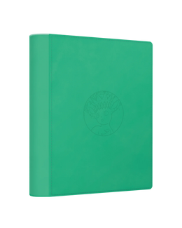 Pokémon TCG: Terastal Gathering Leafeon Binder Set - Simplified Chinese