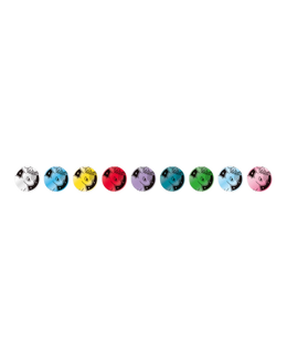 Pokémon TCG: Terastal Gathering Umbreon Coin Set - Simplified Chinese